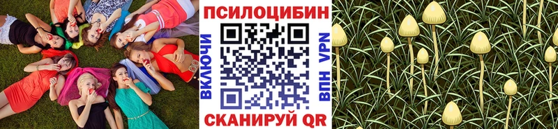 Галлюциногенные грибы Psilocybe  Алатырь 
